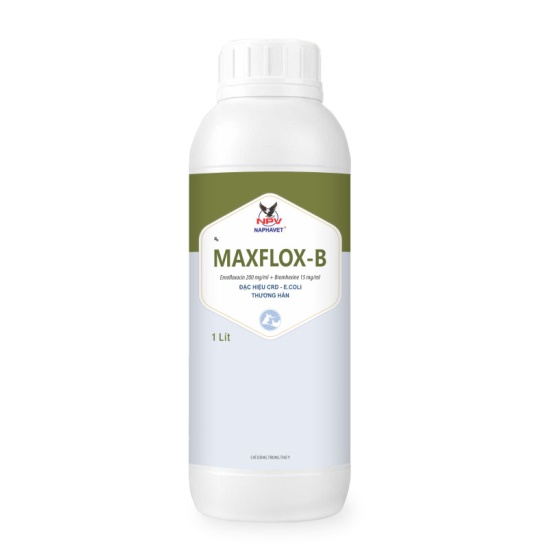 MAXFLOX-B