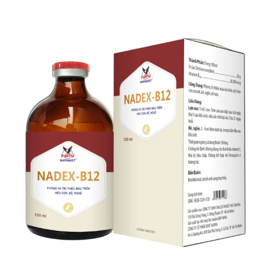 NADEX - B12