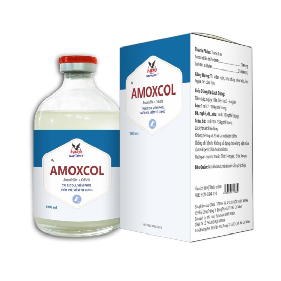 AMOXCOL