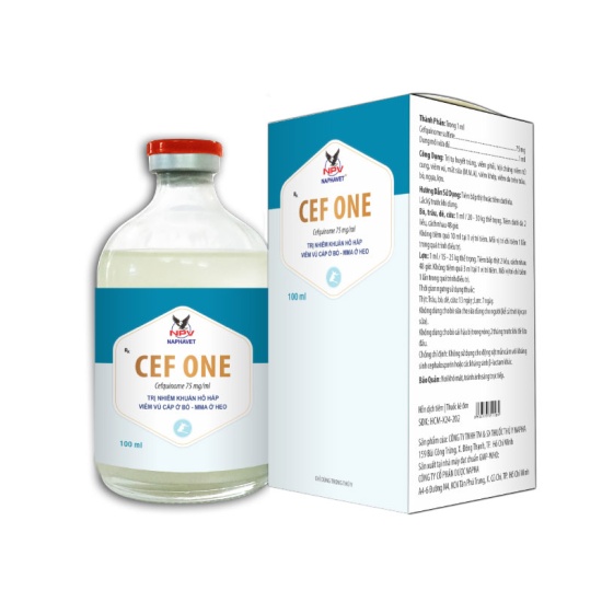CEF ONE