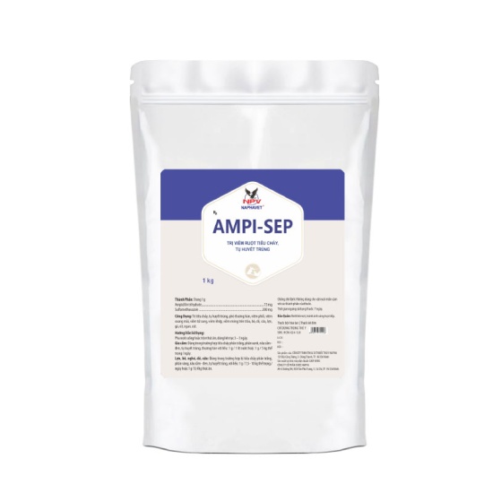 AMPI-SEP