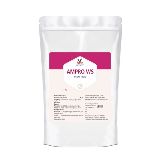 AMPRO WS