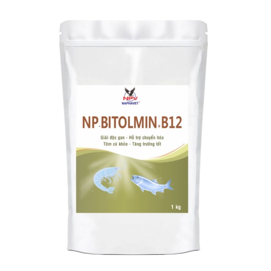 NP-BITOLMIN+B12