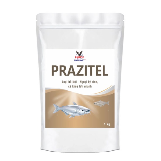 PRAZITEL