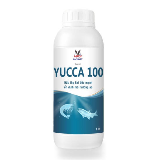 YUCCA 100