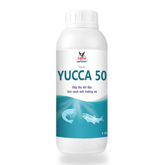 YUCCA 50