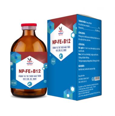 NP-FE+B12
