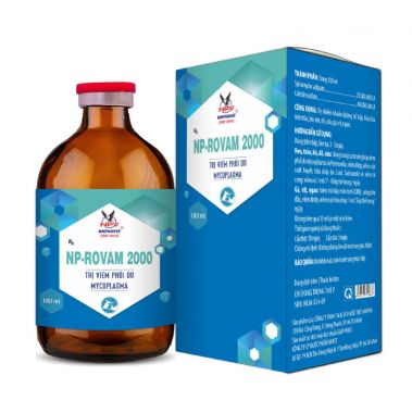 NP-ROVAM 2000