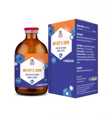 NP-VIT C 2000