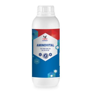 AMINOVITAL
