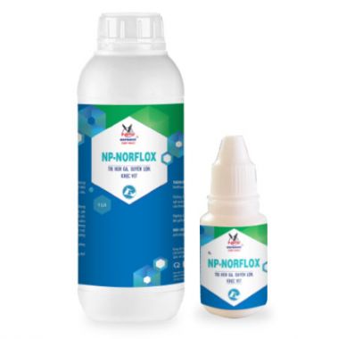 NP-NORFLOX 10%