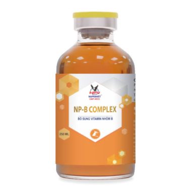 NP-B.COMPLEX